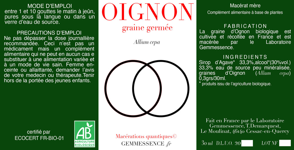 Allium cepa, Oignon (graine germée)