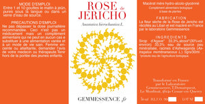 
                  
                    Laden Sie das Bild in den Galerie-Viewer, Anastatica hierochuntica, Rose von Jericho (Blume)
                  
                