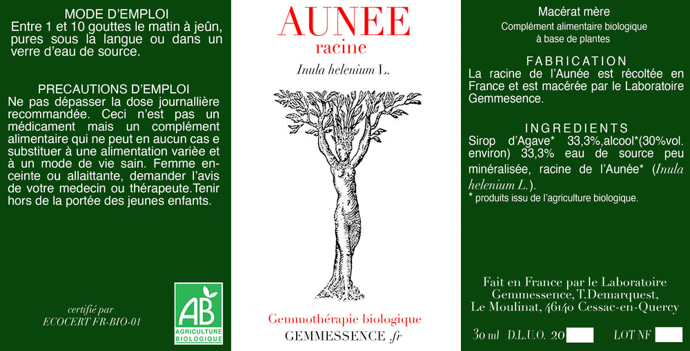 Inula helenium, Aunée, (racine)