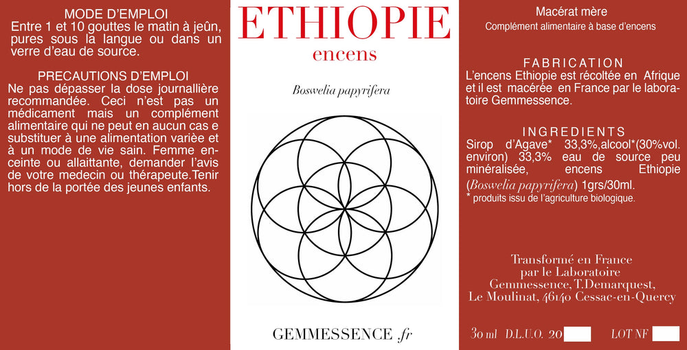 Encens ETHIOPIE, Boswelia papyrifera