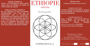 
                  
                    Charger l&amp;#39;image dans la galerie, Encens ETHIOPIE, Boswelia papyrifera
                  
                