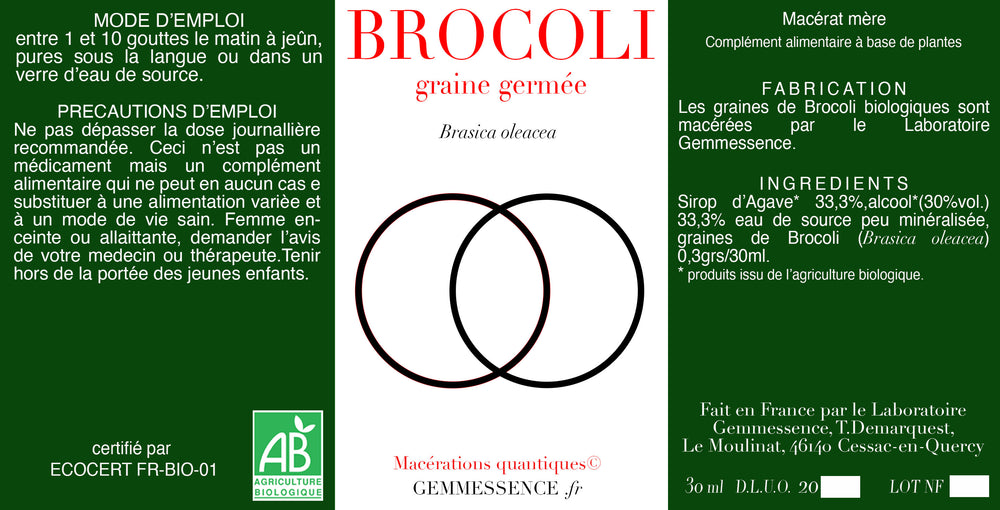 Brasica oleacea, Brocoli (graine germée)
