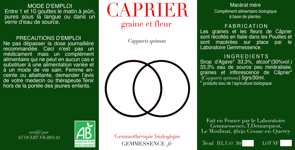 Capparis spinosa, Câprier  (bouton floral et graine)