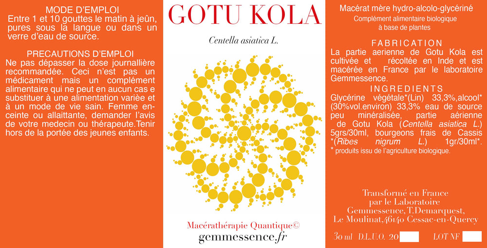 Centella asiatica, Gotu Kola (partie aérienne)