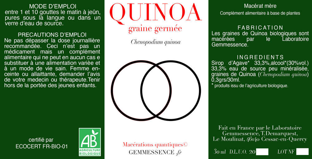 Chenopodium quinoa, Quinoa (graine germée)