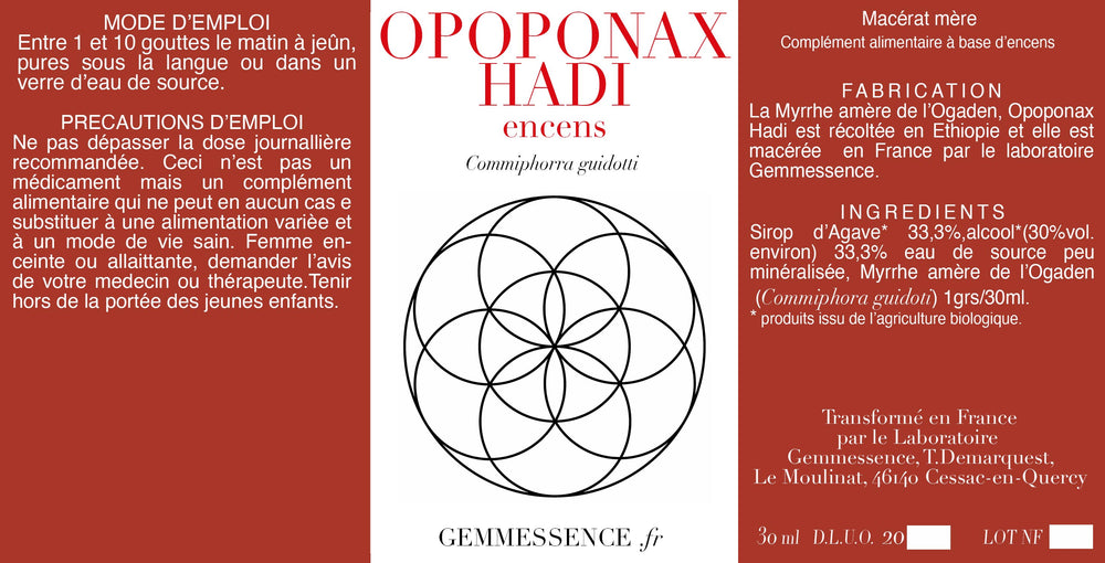 Encens, OPOPONAX HADI Commiphora guidotti (Myrrhe amère de l’Ogaden)