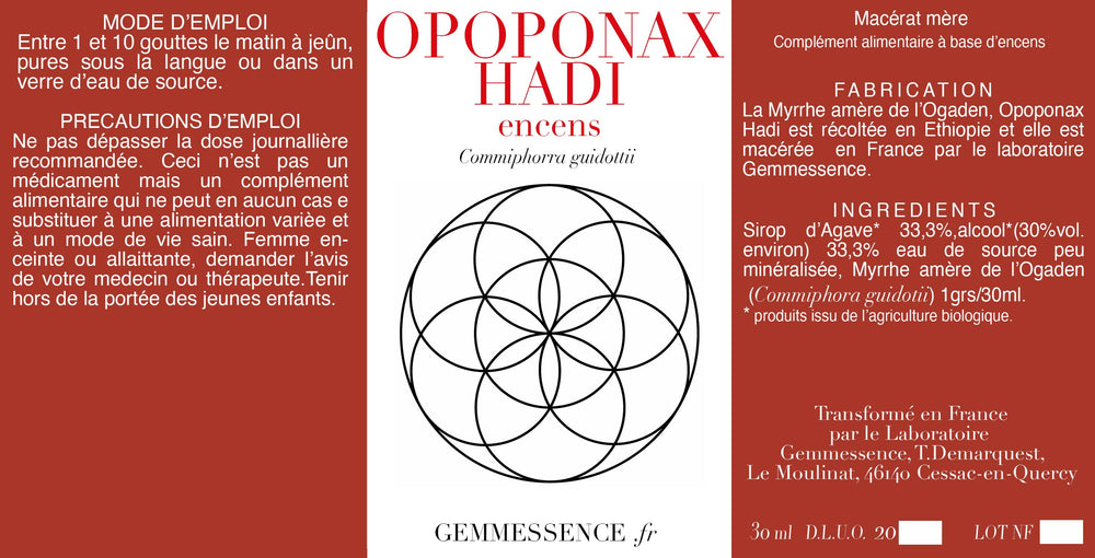 Incense Myrrh OPOPONAX HADI (Ogaden), Commiphorra guidottii
