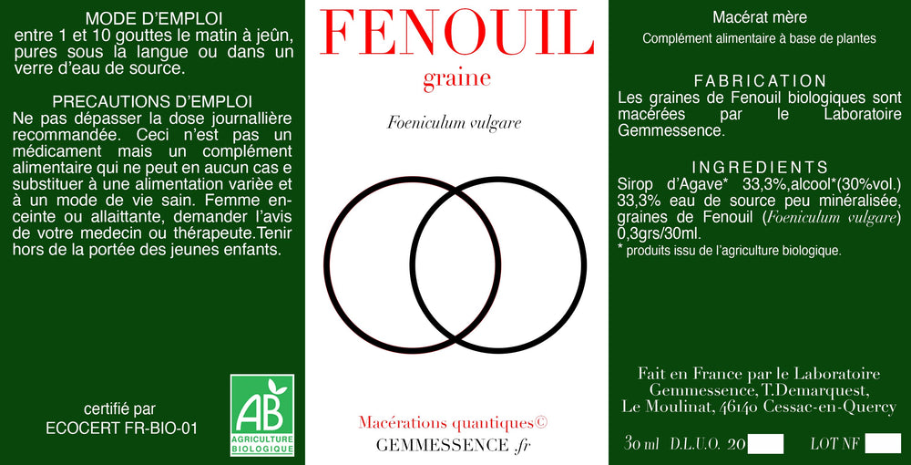 Foeniculum vulgare, Fenouil (Graine)