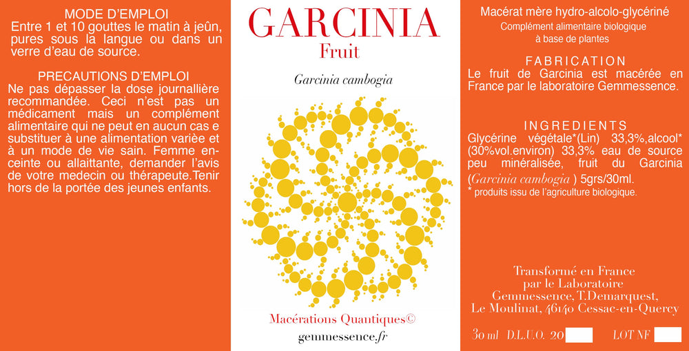 Garcinia cambogia, Garcinia  (fruit)