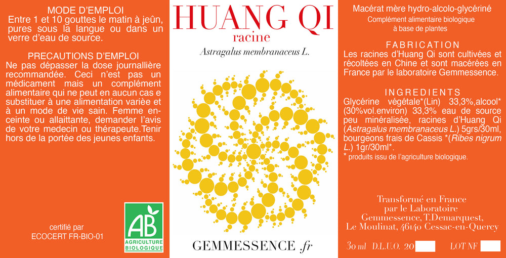 Astragalus membranaceus, Huang Qi (Wurzel)
