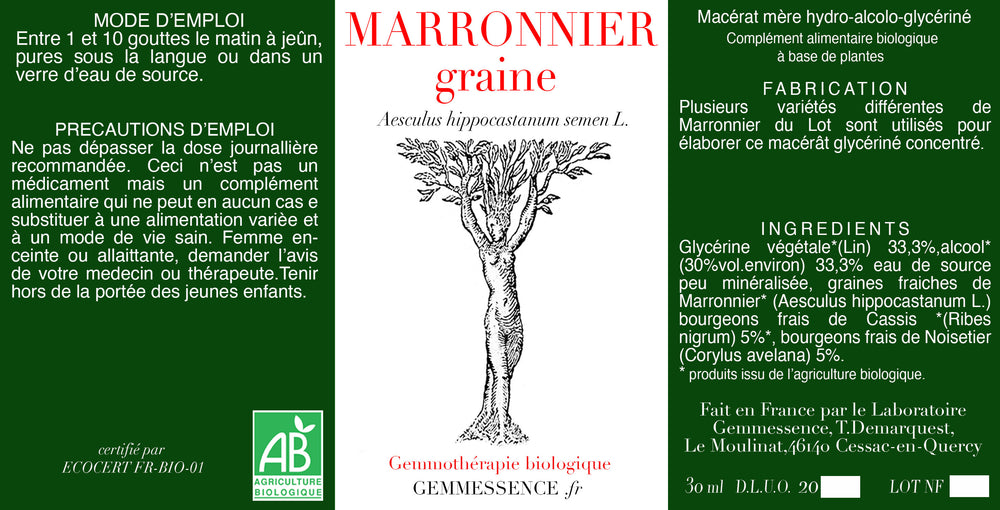 Aesculus hyppocastanum Marronnier (graine)