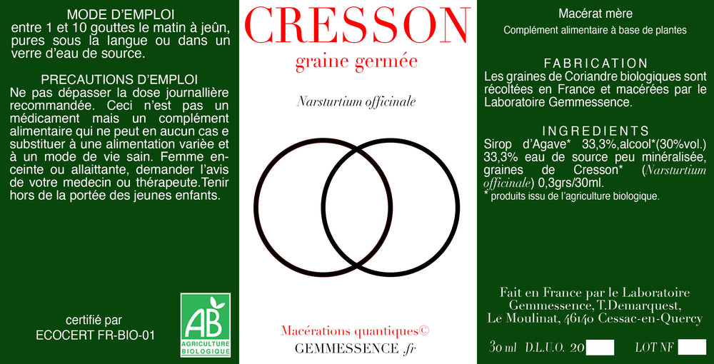 Narsturtium officinale, Cresson (graine germée)