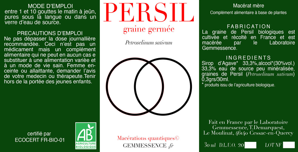 Petroselinum sativum, Persil (graine germée)