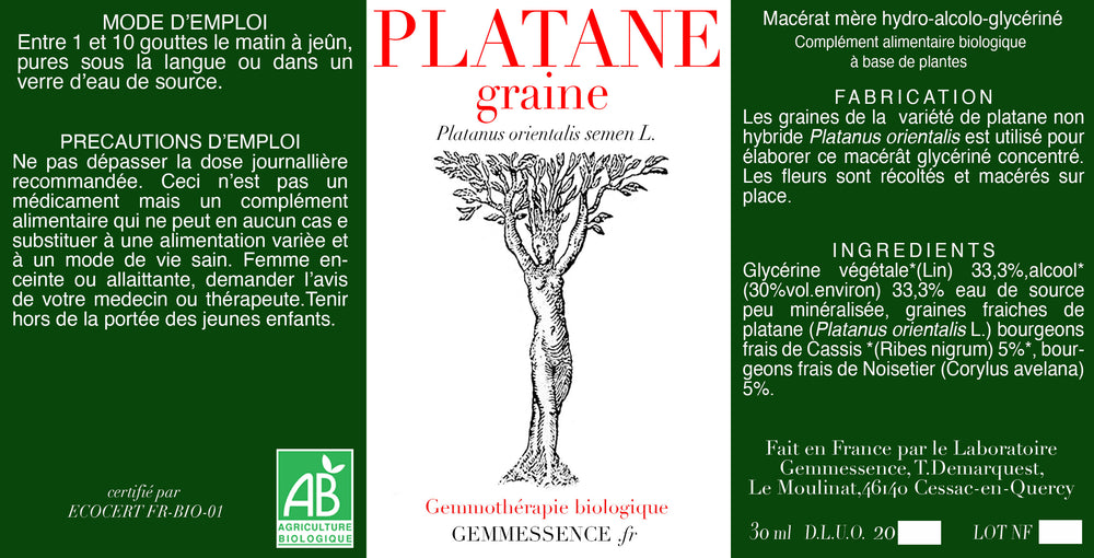 Platanus orientalis, Platane (Samen) 
