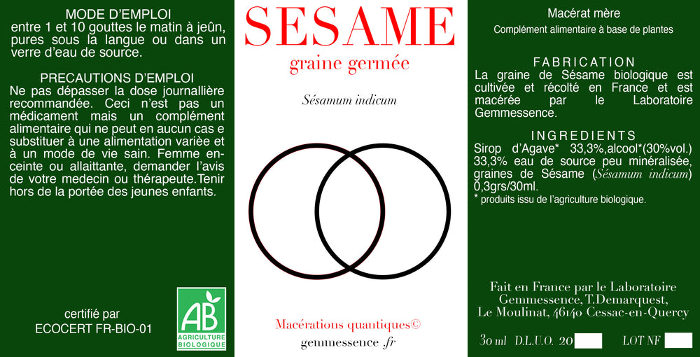 Sésamum indicum, Sésame (graine)