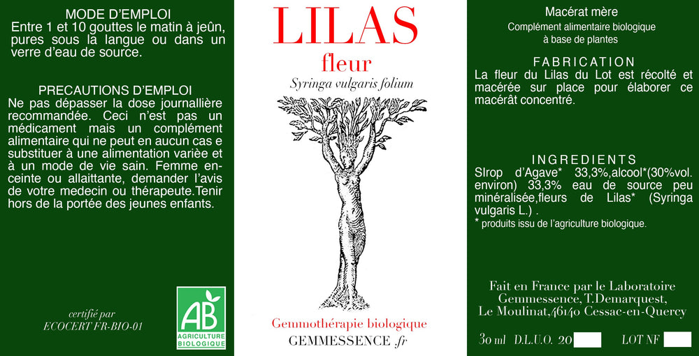 Syringa vulgaris, Lilas (fleur)