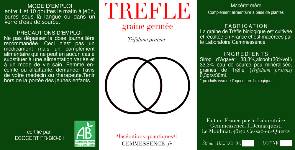 Trifolium pratens, Trèfle (graine germée)