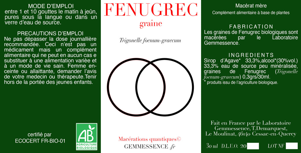 Trigonelle foenum-graecum, Fenugrec (graine)