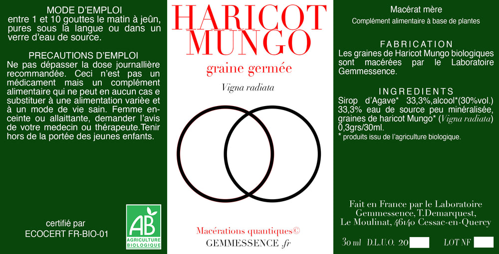 Vigna radiata, Haricot Mungo (graine germée)