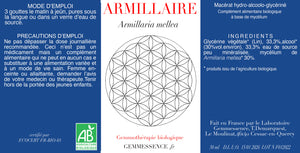 Armillairia mellea, Antidepresseur, Anti bactérien, Antioxydant, Mémoire, Alzheimer,  Cancer,  Épilepsie,  Antibiotique, Anti inflammatoire,  