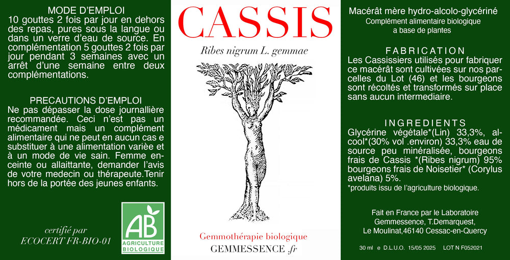 Ribes nigrum, Cassis