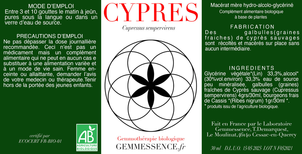 Cupressus sempervirens, Cyprès