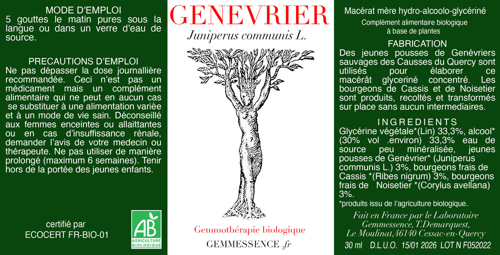 Genévrier, Juniperus communis