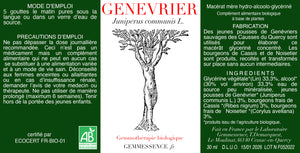 
                  
                    Charger l&amp;#39;image dans la galerie, Juniperus communis, Genévrier (jeune pousse)
                  
                
