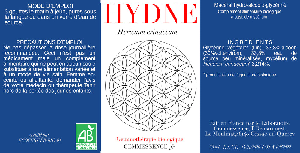 Hydne hérisson, Hericium erinaceum