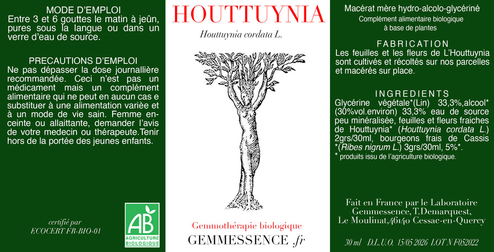 Houttuynia cordata (whole plant)