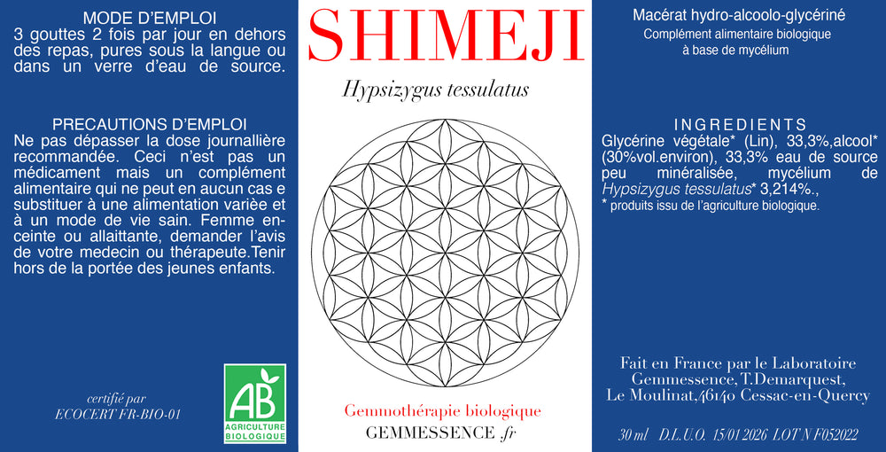 Shimeji mushroom, Hypsizygus tessulatus (mycelium)
