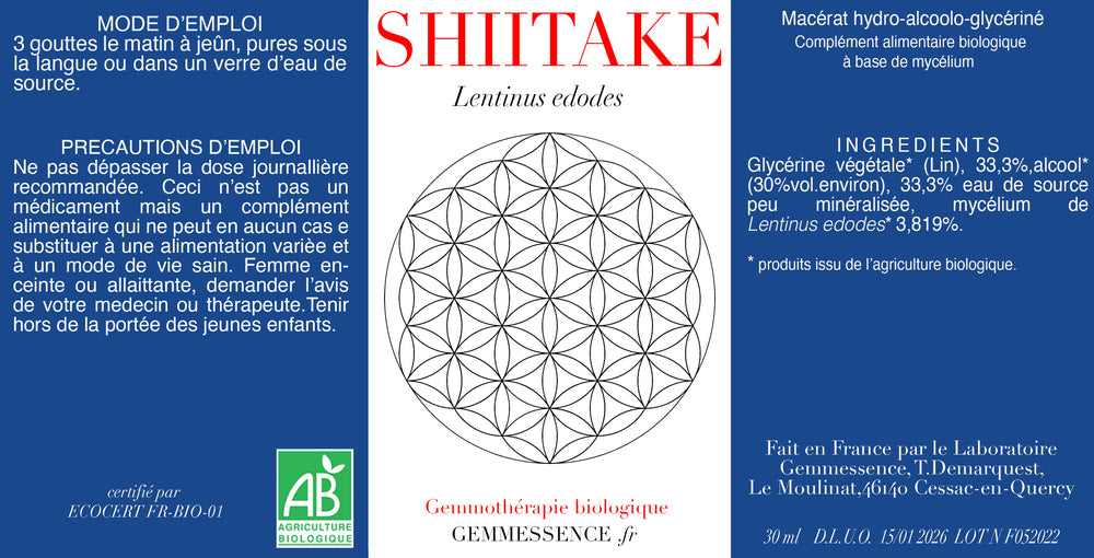 Champignon Shiitake, Lentinus edodes