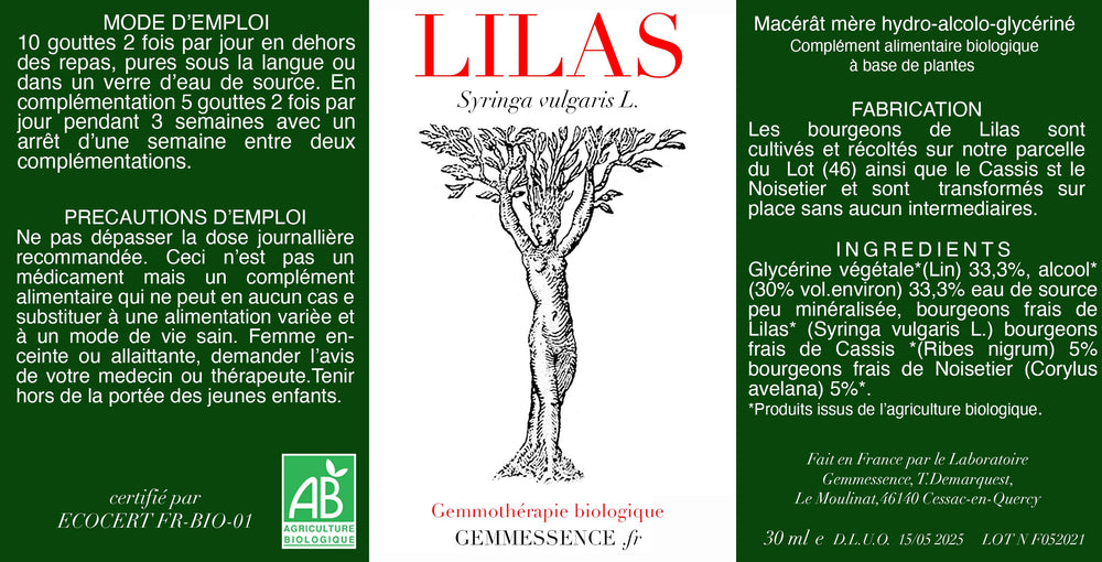 Syringa vulgaris, Lilas (bourgeon)