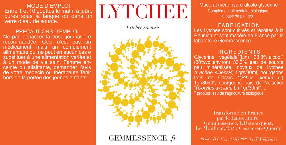 Lytchee sinensis (graine)