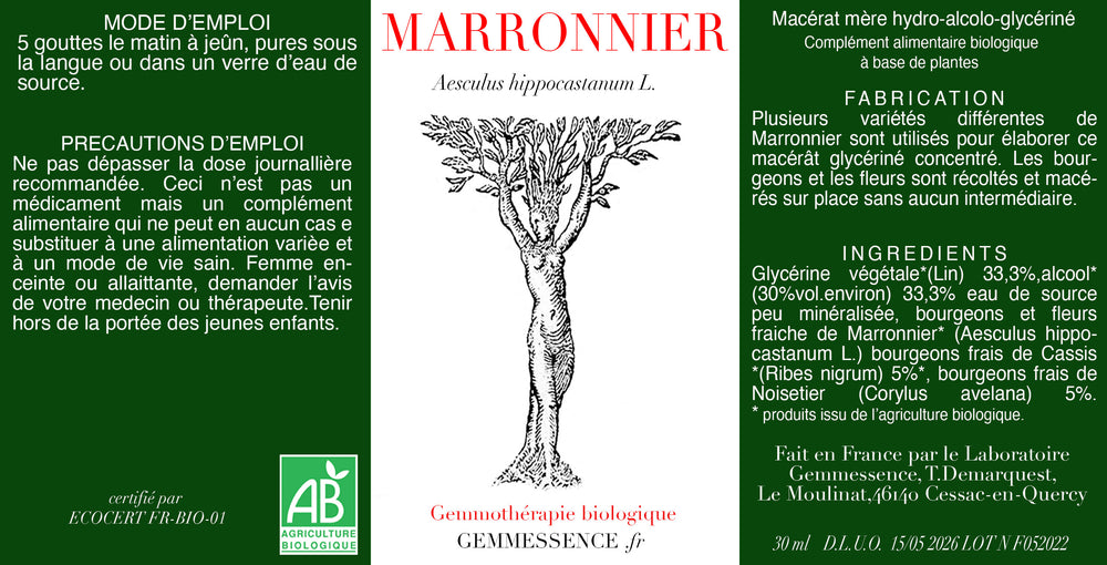 Aesculus hippocastanum, Marronnier (bourgeon)