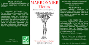 
                  
                    Charger l&amp;#39;image dans la galerie, Aesculus hippocastanum, Marronnier (fleur)
                  
                
