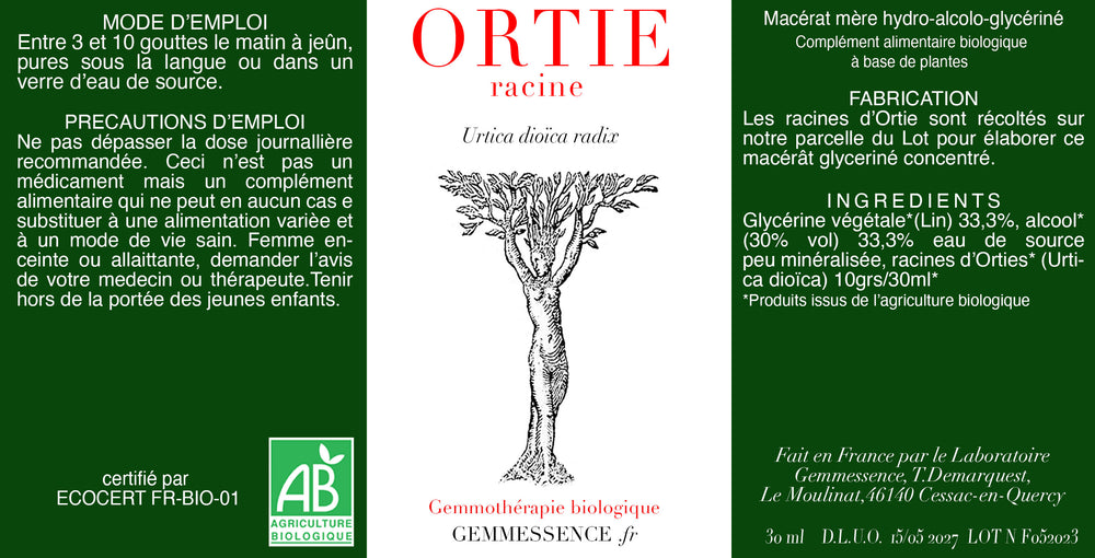Urtica dioica, Nettle (root)