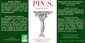 
                  
                    Charger l&amp;#39;image dans la galerie, Pinus sylvestris, Pin sylvestre (jeune pousse)
                  
                
