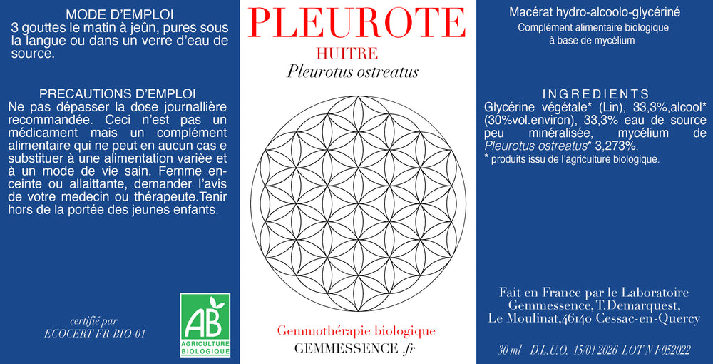 LE PLEUROTE (pleurotus)