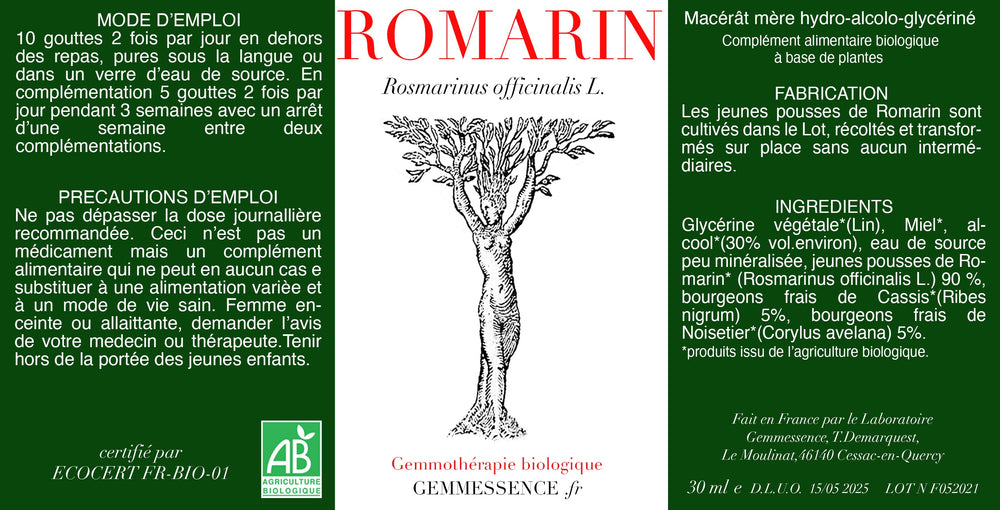 Rosmarinus officinalis, Rosemary (young shoot)
