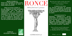 
                  
                    Charger l&amp;#39;image dans la galerie, Rubus fruticosus, Ronce (bourgeon)
                  
                