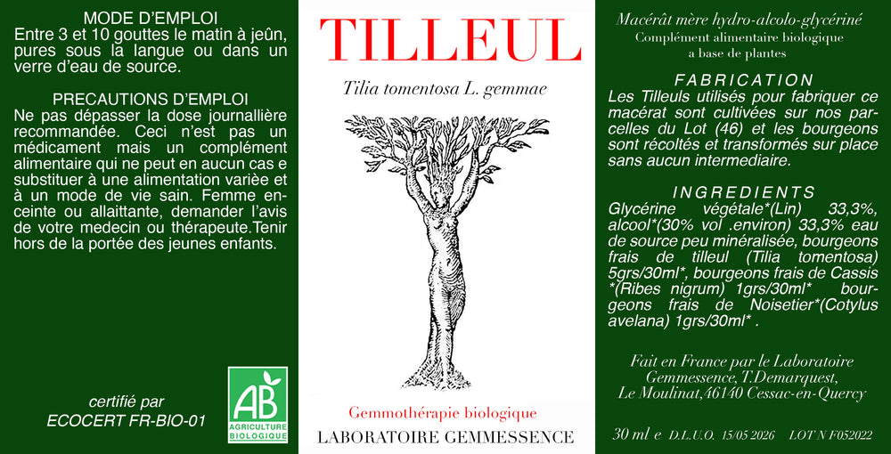 Tilia tomentosa, Tilleul (bourgeon)